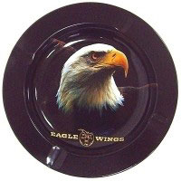 ���������� ������������� 13,5 ��. Eagle Wings �������