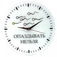 ���� ���������� ������ ����������