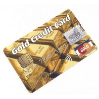 ������ �������� Gold Credit Card 8GB ������ ������