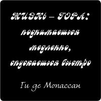 ������ ������ ������� ����� N 28 �����-����