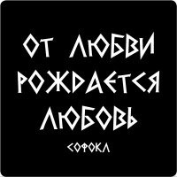 ������ ������ ������� ����� N 42 �� �����