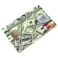 ������ �������� Platinum Credit Card ������ 4GB ������