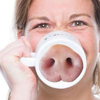 ������ IPig ������ ������ (*)
